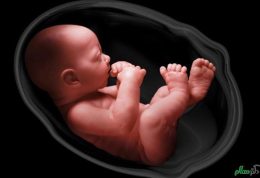 ظرف ها چه تأثیری بر سلامت مادر و جنین دارند؟