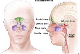 آیا علائم تومور بینی و سینوس را میدانید؟