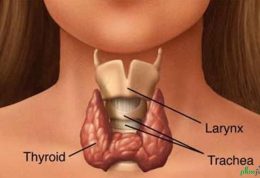 پیشنهادات پزشکی برای مشکلات مربوط به تیروئید