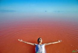 شادی مردم از زنده شدن دریاچه ارومیه