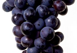 ارزش غذایی انگور سیاه