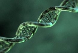 بررسی ژنتیکی اختلال هانتینگتون