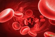 اهدای سلول های بنیادی خون ساز