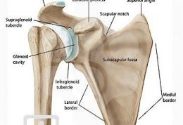 شانه منجمد را اینگونه درمان کنید