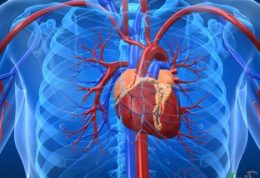 بازیابی سلولهای از دست رفته قلب با کمک سلول های بنیادی