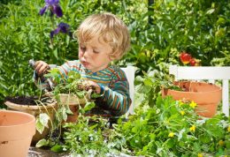 پرورش مهارت های زندگی کودکان با باغبانی