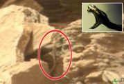 حضور موجودات فرازمینی در مریخ