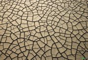 خطر خشک سالی تحدید بزرگی برای استان فارس