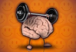 تاثیر تمرینات و فعالیت های عضله ای و ماهیچه ای بر مغز