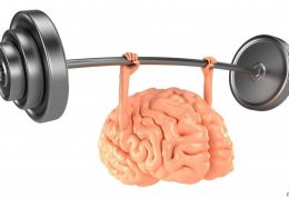 فایده های مختلف ورزش بر عملکرد مغز