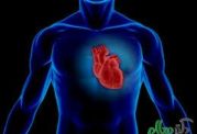 قلب 80 درصد از مردم  پیر تر از سن شناسنامه‌ای آنهاست