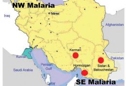 افزایش آمار مبتلایان به مالاریا در کشورمان