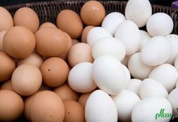 تفاوت تخم مرغ صنعتی با محلی