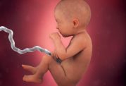 بررسی تغییرات جنین در هشت ماهگی