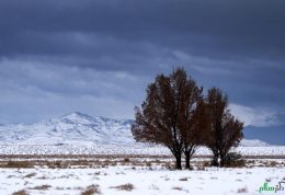 دلیل سرمای بیش از حد پاییز امسال