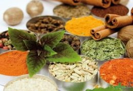 تنوع گونه های گیاه دارویی در ایران