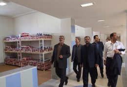 اولین همایش بهداشت حرفه ای زندان ها در مشهد الرضا