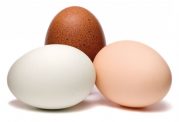 پودر پوست تخم مرغ به عنوان یک منبع عالی کلسیم