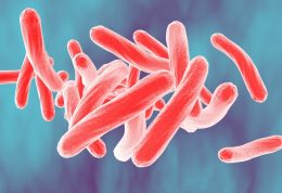 درمان موثر بیماری سل با مصرف آنتی بیوتیک ریفامپین
