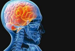 درمان بیماری های مغزی با استفاده از رژیم درمانی
