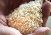 برنج های پلاستیکی آفت بازار! روش های تشخیص