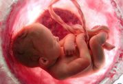 افزایش هوش جنین با روش های جدید