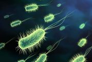 باکتری‌های مقاوم به آنتی‌بیوتیک در هوای آلوده