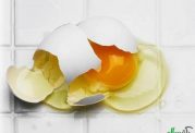 تخم مرغ را با احتیاط مصرف کنید