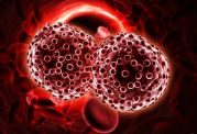 گلبول های خون و انتشار سرطان در بدن