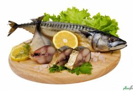 ماهی چگونه به کاهش وزن کمک میکند؟