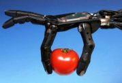 روباتها گوجه فرنگی تشخیص می دهند