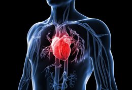 تاثیر هوش مصنوعی بر انواع امراض قلبی