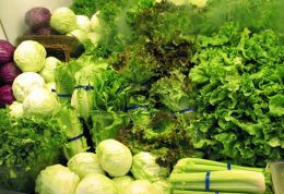 انجماد بهترین روش برای نگهداری سبزیجات است