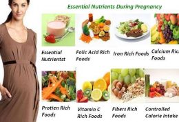 اصول تغذیه ای ماه هفتم بارداری