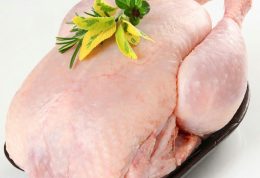 هشدار! خطر ابتلا به نیوکاسل از طریق مصرف گوشت آلوده