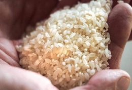 5 فایده طلایی آب برنج که اغلب دور ریخته می شود!