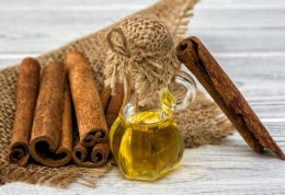 چگونه می توانیم در خانه روغن دارچین تهیه کنیم