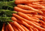 خواصی از هویج که کمتر آن ها را شنیده اید