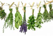 خواص جادویی این 5 سبزی معطر را بشناسید