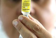 گسترش بیماری مرگبار تب زرد در برزیل
