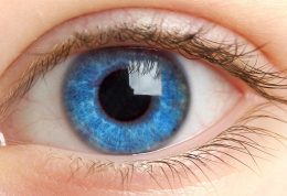 چشم های انسان سرنخ هایی از وضعیت کلی سلامت ما ارائه می دهند