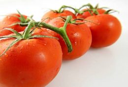 گوجه فرنگی،آب و املاح بدن را تامین می کند