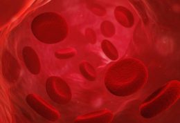 موفقیت دانشمندان در جوانسازی مجدد سلولهای بنیادی تولید کننده خون