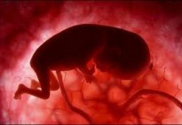 سقط جنین از پیامد های خطرناک کمبود ویتامین E