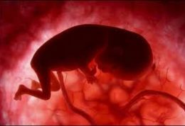 عکس های جالبی از ژست زیبای جنین درون شکم مادر
