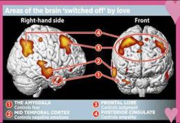 رخدادهای مغز هنگام عاشق شدن
