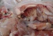 کشف و از بین بردن مرغ های فاسد توسط بازرسان وزارت بهداشت