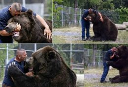 دوستی مرد با یک خرس شگفت انگیز