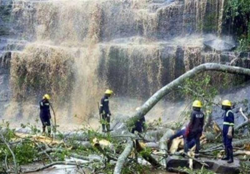18 قربانی به دلیل سقوط یک اصله درخت درغنا