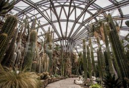 نخستین باغ گیاه شناسی در جهان